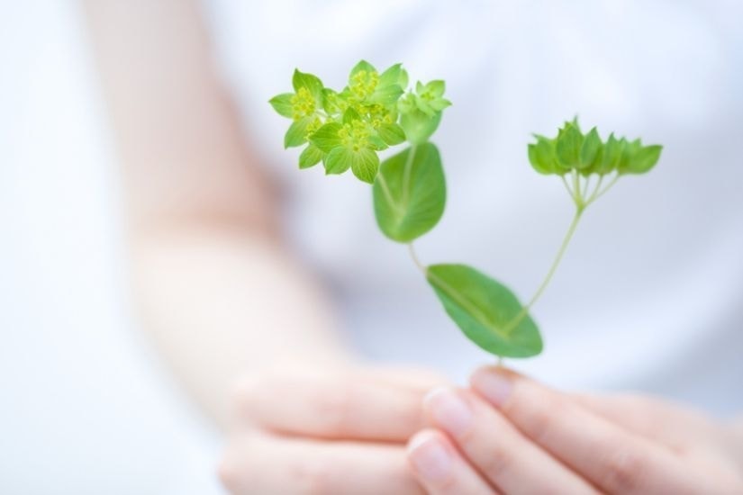 福井の探偵、北陸総合探偵事務所代表挨拶