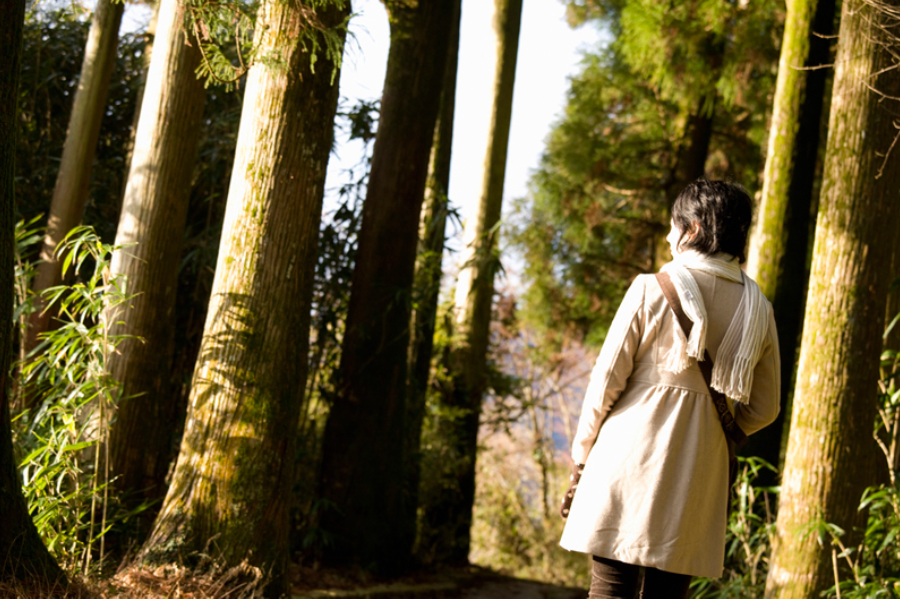 家出調査・行方調査・所在調査｜適正料金｜福井の探偵